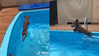 Jake adora pular na piscina e seus vídeos são um sucesso nas redes sociais.