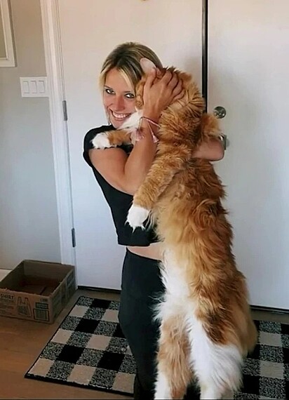 Natalie Bowman segurando seu gato gigante, Finn.