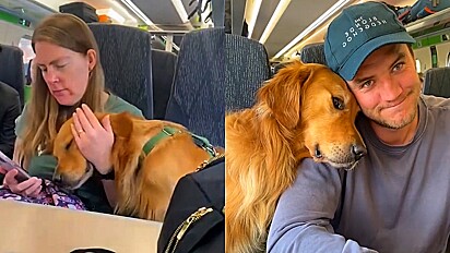 Cão adora se aconchegar em pessoas desconhecidas durante viagem de trem.