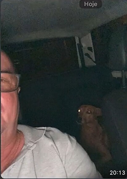 O pai de Gabi com o cachorro no carro.