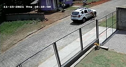 Policiais pararam o carro no meio da rua para que os cachorros pudessem se aproximar. 