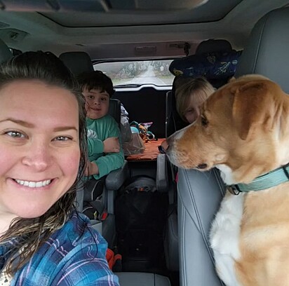 Sherry Lankston reuniu a família numa viagem para buscar o cão no abrigo.