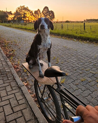 Magrão adora andar de bicicleta.