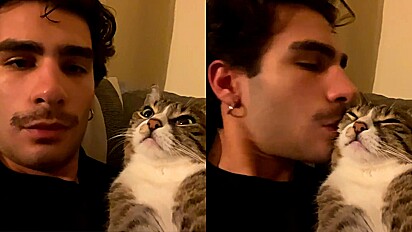Homem beija gata e sua reação é muito fofa.