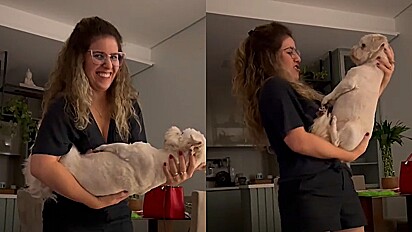 Mulher ensaia como segurar bebê no colo com seu cão para pegar a filha de sua amiga.