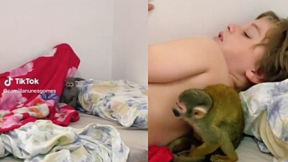 Camila encontrou mico deitado com filho.