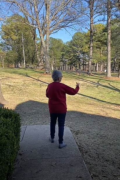 Erika Michelle compartilhou um vídeo de sua avó alimentando cervos no quintal de sua casa.