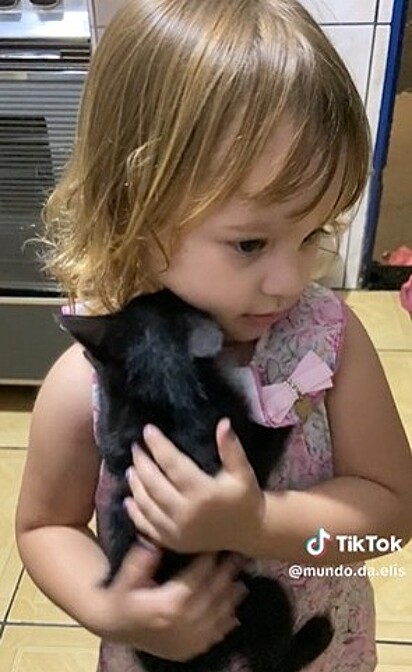 Menina abraça gatinho. 