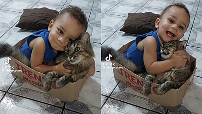 Bebê e gato são inseparáveis. 