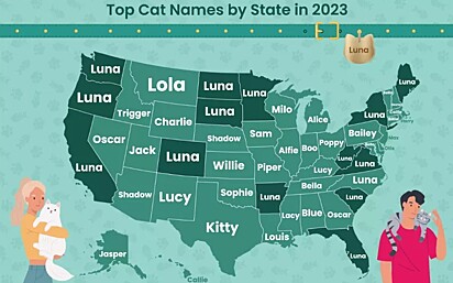 Gráfico ilustrativo com o nome mais popular de cada estado.