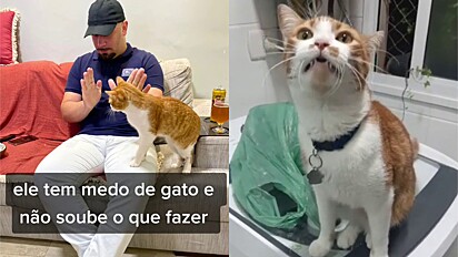 O relato do rapaz que tem medo de gatos foi muito engraçado.