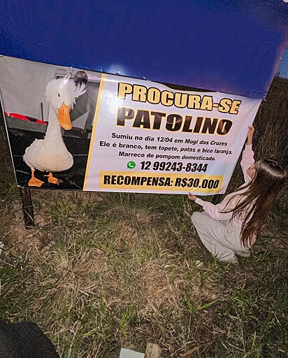 Patolino desapareceu de casa no dia 12 de abril