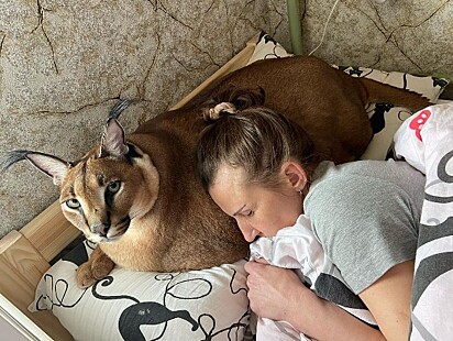 A tutora dorme com a cabeça apoiada na barriga do animal.