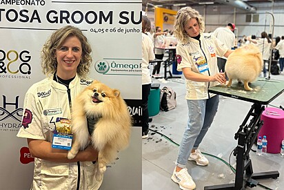 A groomer Sandra Marcolin De Bona participou do Campeonato Groom Sul, na FEIPET 2023.