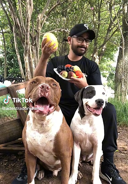 O adestrador de cães Leo Valente, cita cinco frutas que fazem mal aos cães.