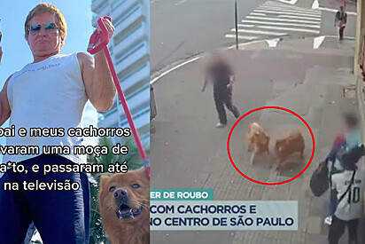 Cães Chow Chow salvam mulher no centro de são paulo
