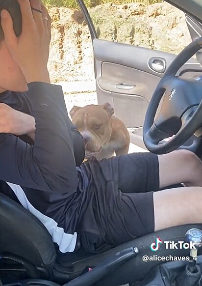 Rian ficou apavorado quando a pet entrou no carro.