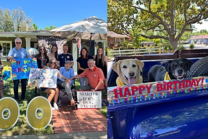 Apaixonado por cachorros, Robert Moore celebrou seu 100º aniversário com a presença de muitos cãovidados especiais.