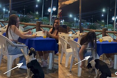 A jovem dividiu a refeição com o cão.