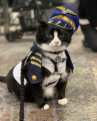 Duke está vestindo um uniforme de piloto.