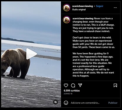 A empresa Scenic Bear Viewing alertou sobre a importância de saber diferenciar ataques reais de ursos de blefes, como foi o caso do vídeo.