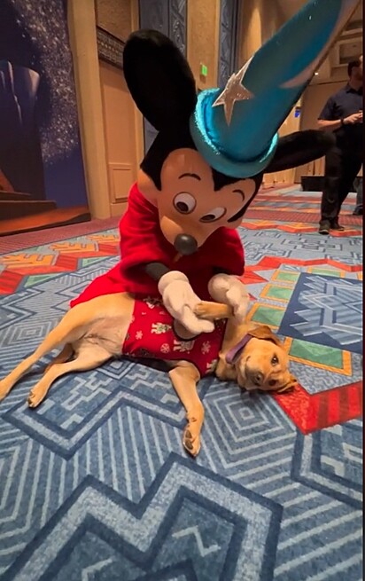 Noodle ganhou uma sessão de massagem do Mickey Mouse. 