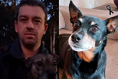Rodrigo Coelho, tutor da Fetúcia, conta como foram os últimos dias de vida da cachorrinha.