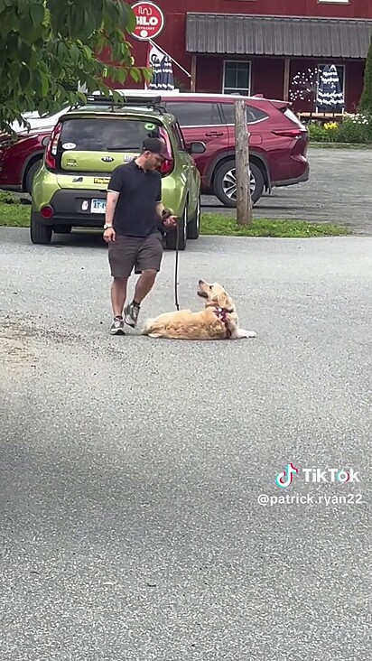 O dono tentou de todas as formas convencê-lo a ir embora, mas o cão não quis.