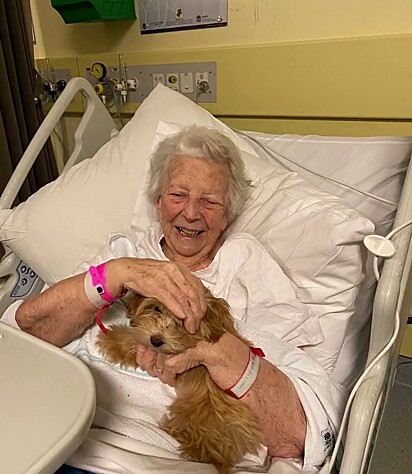 Paciente vibrou de alegria ao ver cãozinho no hospital.