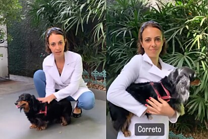 Carolina Haddad ensina a maneira certa de carregar um cachorro no colo.