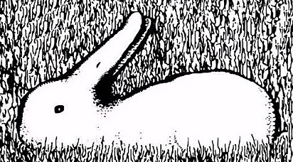A imagem deitada você enxerga um coelho.