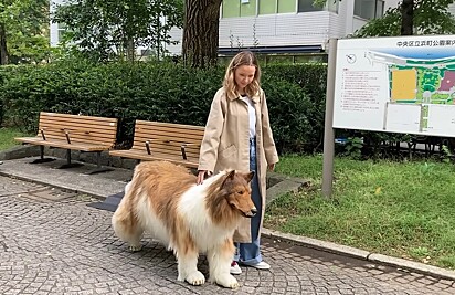 O homem japonês que virou um cachorro passeando na rua.