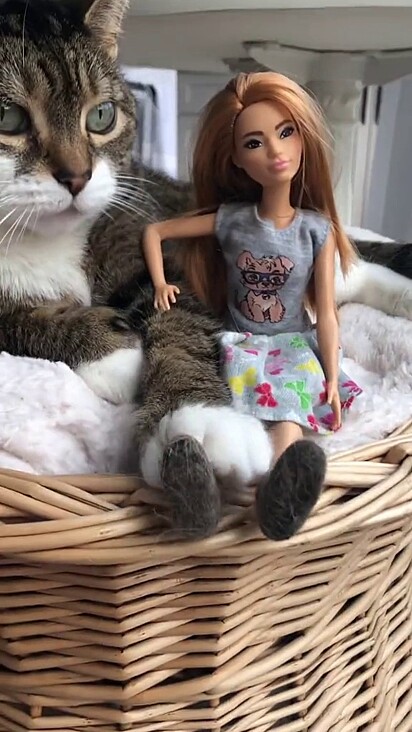 A gata é apaixonada pela boneca Barbie. Na foto ela está segurando a Barbie com a pata.