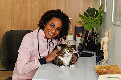 Vivian Kreppeke é médica veterinária nutricionista de cães e gatos.