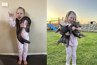 Menina de 4 anos encanta a internet com suas aventuras selvagens na Austrália.