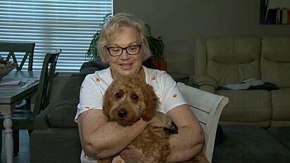Gina Helsel e o seu cachorro Stewie.