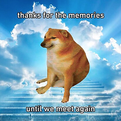 Meme do cão após a morte: obrigado pelas memórias até nos encontrarmos novamente.