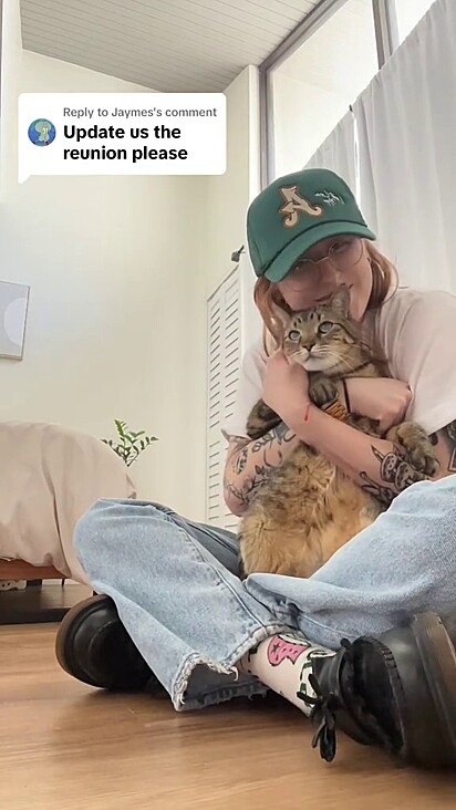 Tutora compartilhou reencontro com seu gato.
