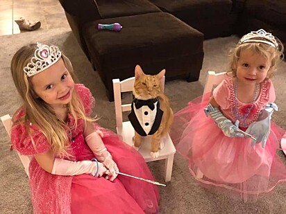 O gato brincando com as princesas.