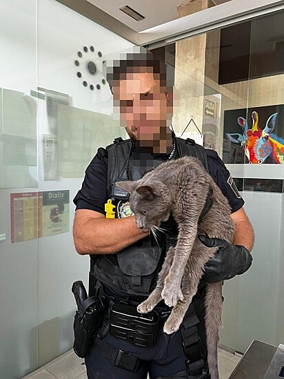 Um dos agentes que resgatou o gato que pulou de penhasco.
