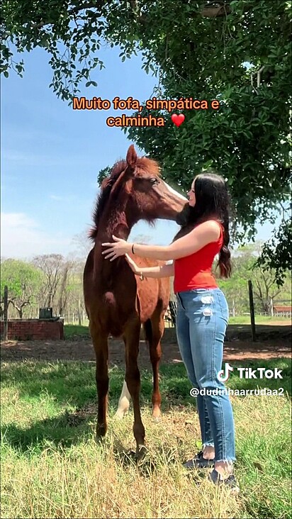 A jovem compartilhou o doce momento de amizade com um cavalo.
