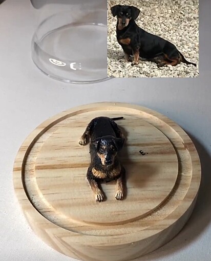 Miniatura de um cachorro de pelagem preta com caramelo.