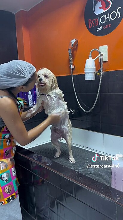 Cleitinho tomando banho.