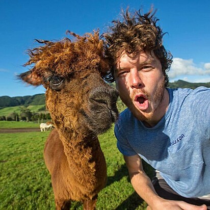 Allan Dixon viajou o mundo em busca das selfies perfeitas ao lado de animais selvagens.