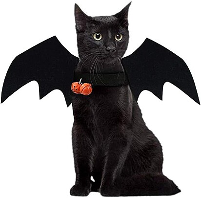 Fantasia de Halloween para pets: morcego.
