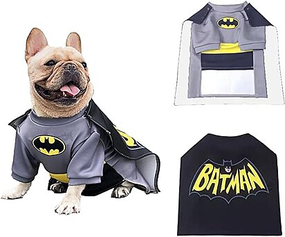 Fantasia de Halloween para cachorro / gato: Batman.