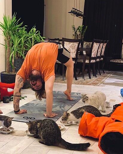 O rapaz praticando yoga ao lado dos seus gatos.