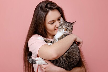 Quando há uma pessoa na família que passa mais tempo em casa, os gatos podem formar um vínculo particularmente forte com ela. 