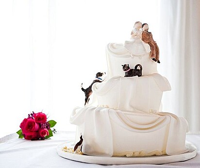 Cachorro tenta alcançar tutores no topo do bolo de casamento.