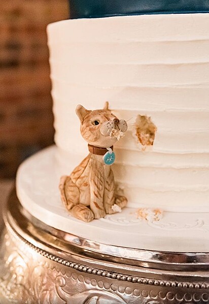 Gato dá uma provinha no bolo. 